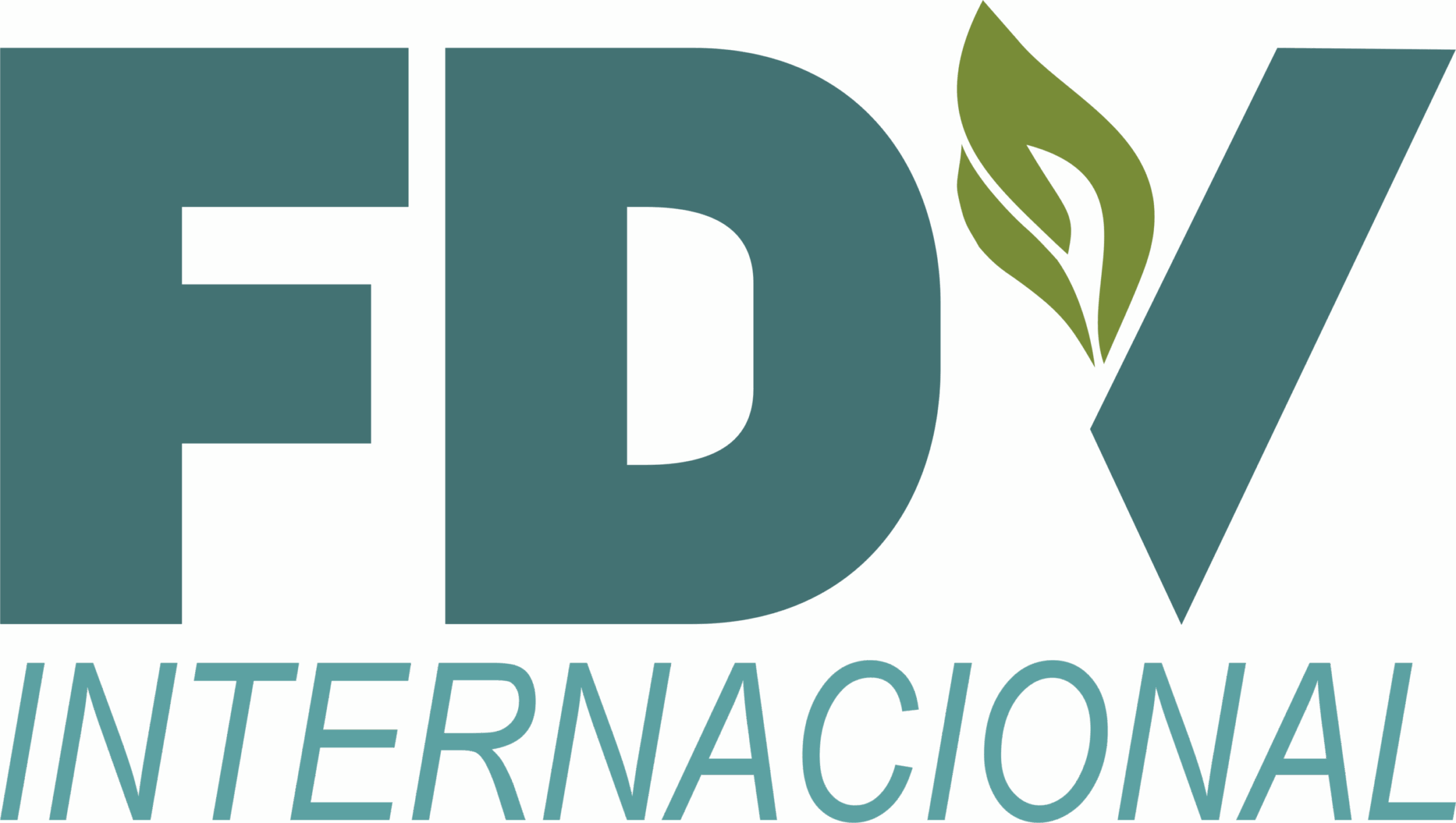 FdV Internacional